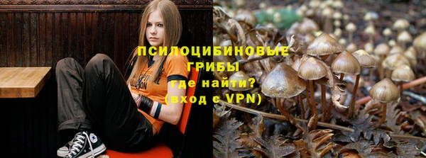 кристаллы Осинники
