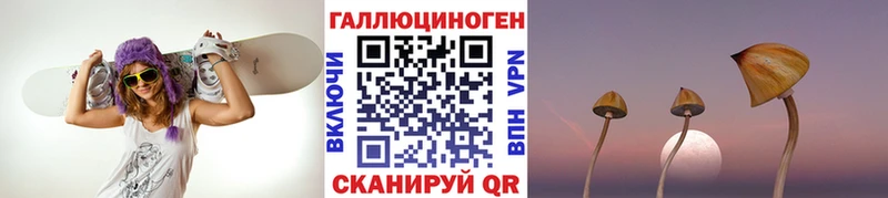 Галлюциногенные грибы MAGIC MUSHROOMS  сколько стоит  Алексеевка 