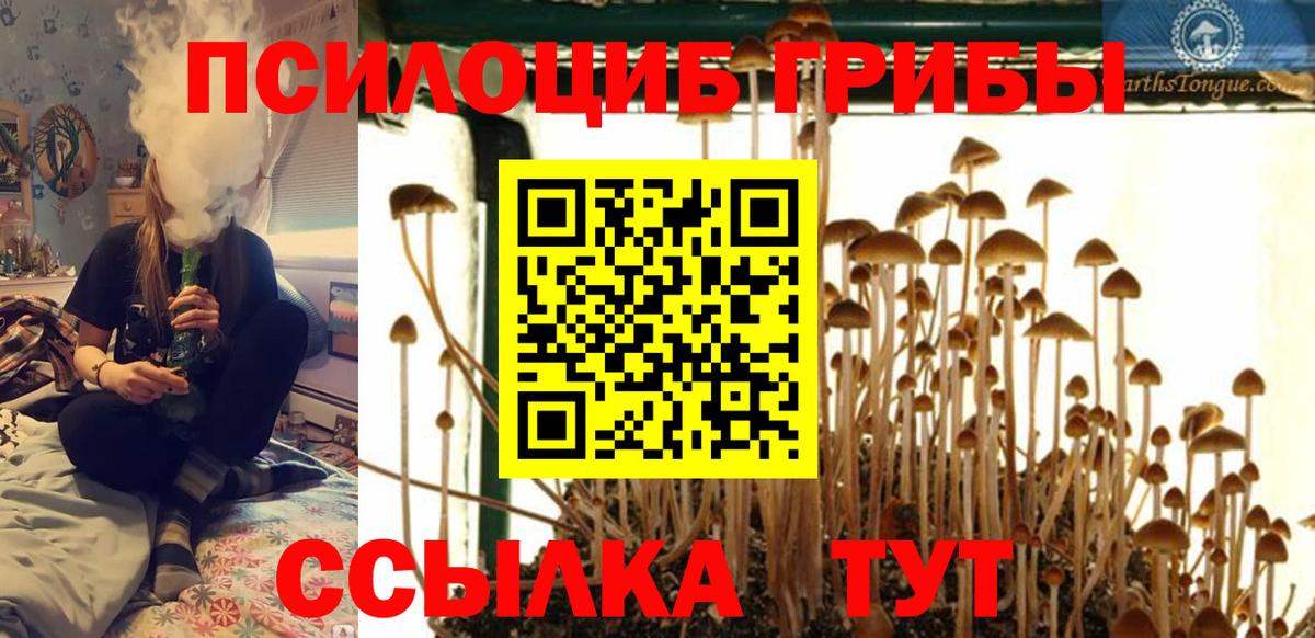 Псилоцибиновые грибы MAGIC MUSHROOMS Алексеевка