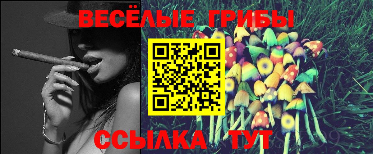 Галлюциногенные грибы MAGIC MUSHROOMS Алексеевка