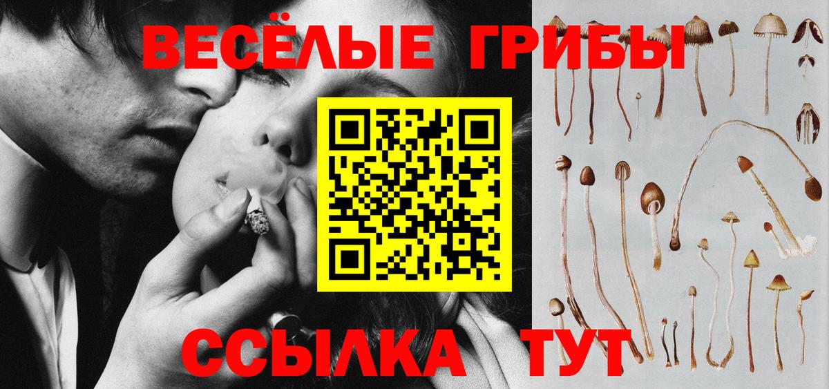 Галлюциногенные грибы мухоморы  Алексеевка 