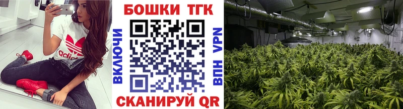 что такое   Алексеевка  Шишки марихуана White Widow 