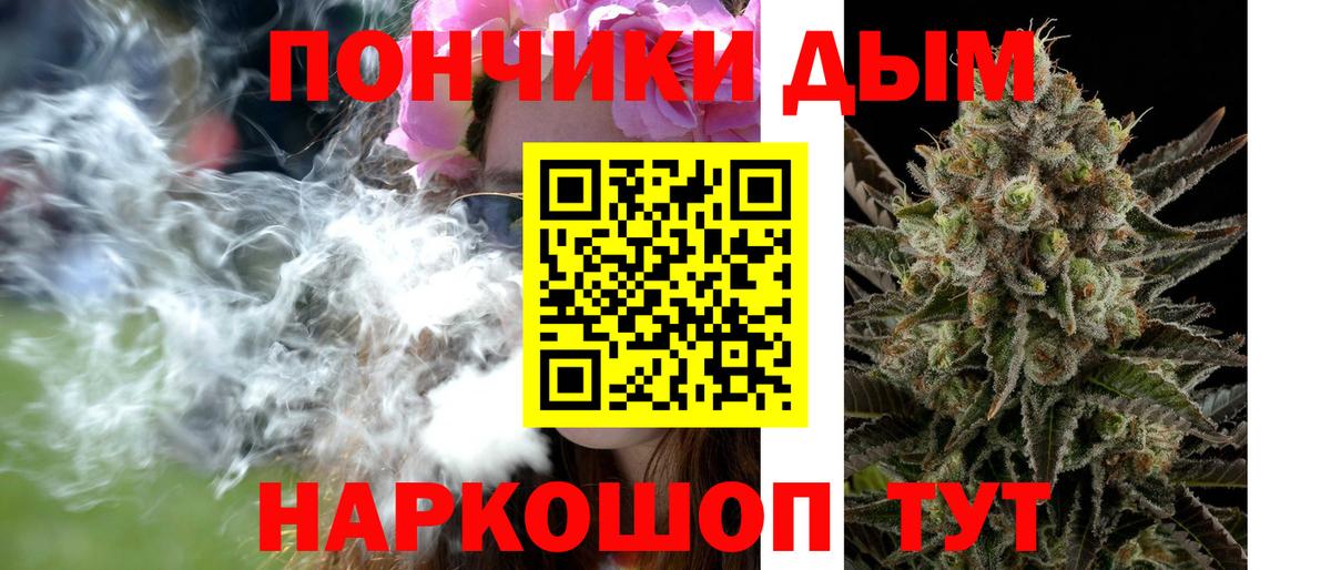 Каннабис SATIVA & INDICA  Алексеевка  Канабис план 